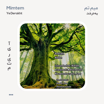 میم تم یه درخت
