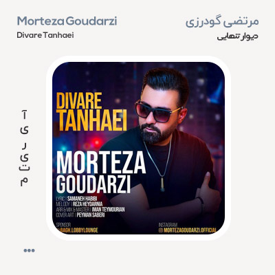 مرتضی گودرزی دیوار تنهایی