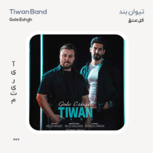 تیوان بند گل عشق