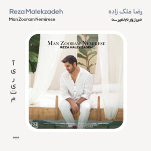 رضا ملک زاده من زورم نمیرسه