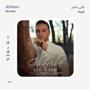 علی نصر غریبه