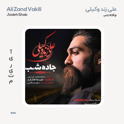 علی زندوکیلی جاده شب