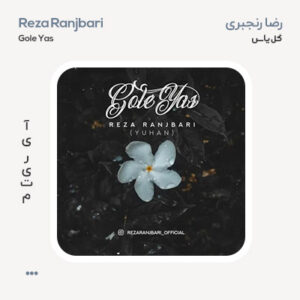 رضا رنجبری گل یاس