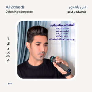 علی زاهدی دلم میگه برگردو