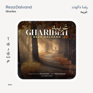 رضا دالوند غریبه