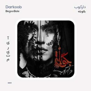 گروه دارکوب بگو بله دارکوب باند بگو بله