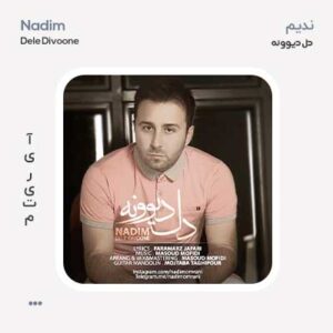 ندیم دل دیوونه
