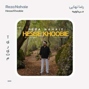 رضا نهایی حس خوبیه