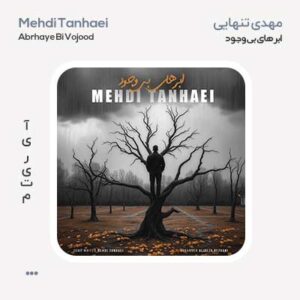 مهدی تنهایی ابرهای بی وجود