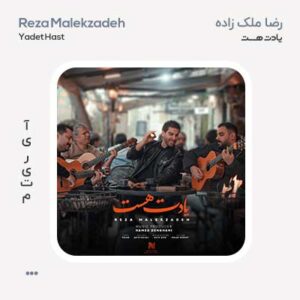رضا ملک زاده یادت هست
