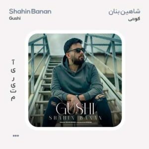 شاهین بنان گوشی شاهین بنان گوشی