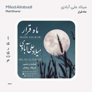 میلاد علی آبادی ماه قرار میلاد علی آبادی ماه قرار