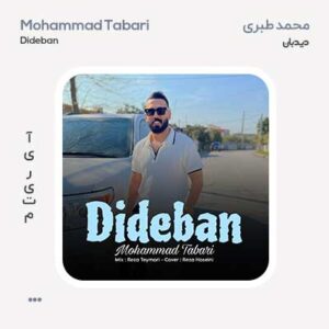 محمد طبری دیدبان