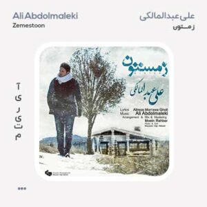 علی عبدالمالکی زمستون