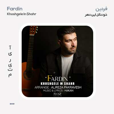 فردین خوشگل این شهر