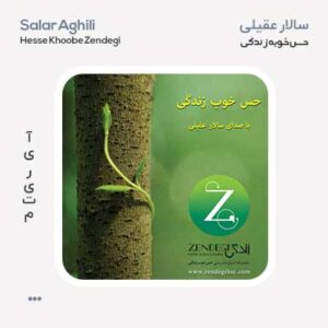 سالار عقیلی حس خوبه زندگی
