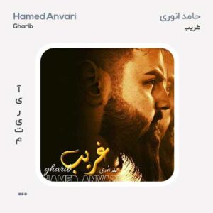 حامد انوری غریب