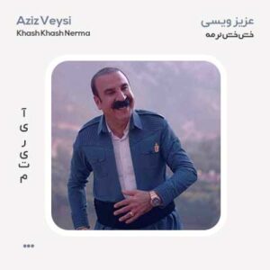 عزیز ویسی خش خش نرمه