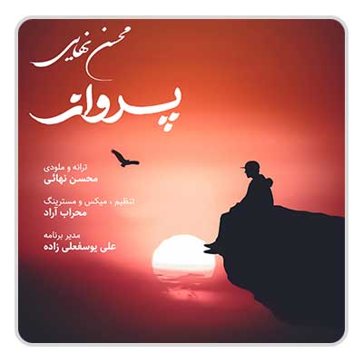 محسن نهائی پرواز