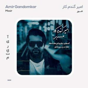 امیر گندم کار مسیر