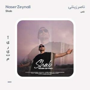 ناصر زینعلی شب ناصر زینعلی شب