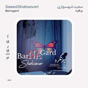 سعید شهسواری برنگرد