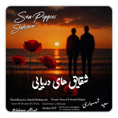 سعید شهسواری شقایق های دریایی