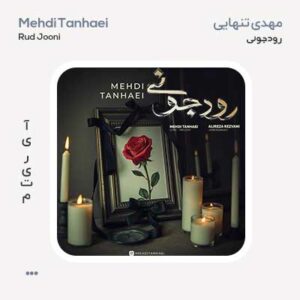 مهدی تنهایی رود جونی
