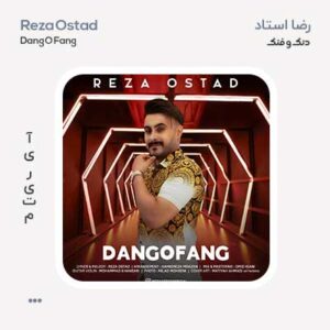 رضا استاد دنگ و فنگ