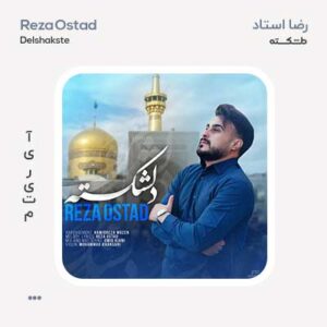 رضا استاد دلشکسته