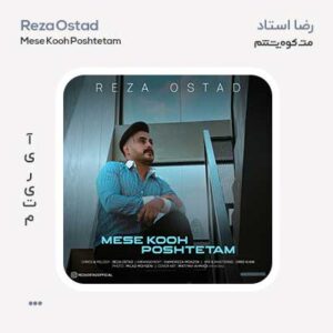 رضا استاد مث کوه پشتتم