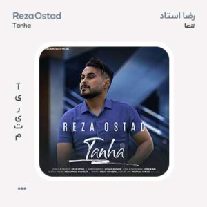 رضا استاد تنها
