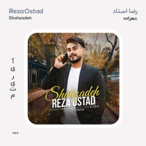 رضا استاد شهزاده