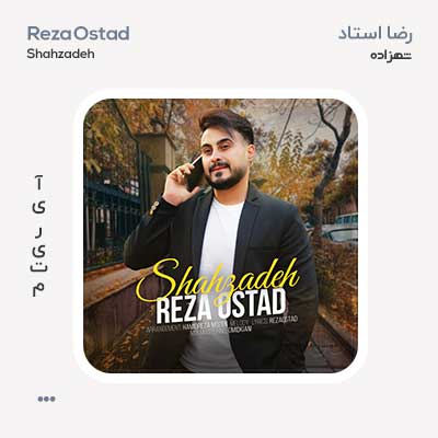 رضا استاد شهزاده