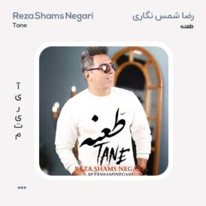 رضا شمس نگاری طعنه رضا شمس نگاری طعنه