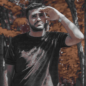 امیر نظام مسئله گو