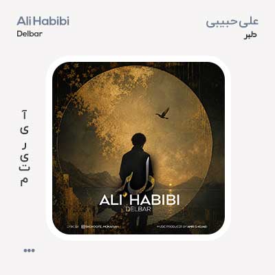 علی حبیبی دلبر