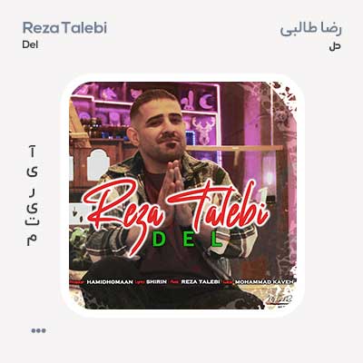 رضا طالبی دل