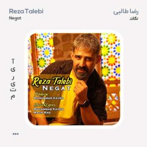 رضا طالبی نگات