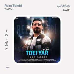 رضا طالبی تویی یار