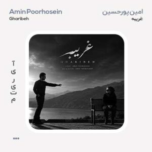 امین پورحسین غریبه