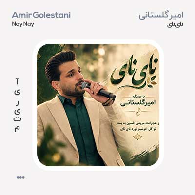 امیر گلستانی نای نای