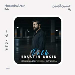 حسین آرسین پلک