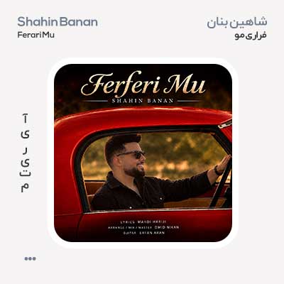 شاهین بنان فرفری مو